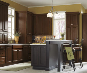 Kitchen cabinet design Cantrell cabinets for sale Lake City florida samples