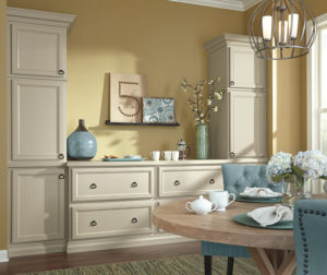 Cabinet design Norris cabinets for sale Lake City samples